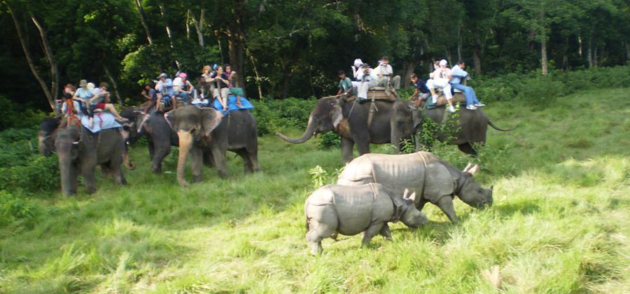 Nepal Jungle Safari