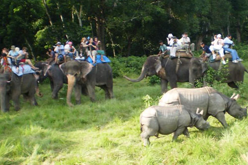 Nepal Nature Tour
